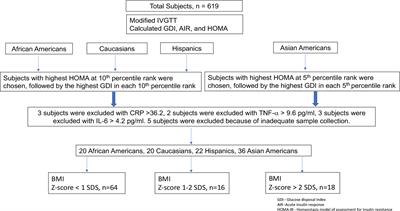 Fasting Serum IGFBP-1 as a Marker of Insulin Resistance in Diverse School Age Groups